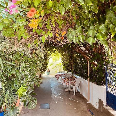 Afroditi Pension Archangelos  Ngoại thất bức ảnh